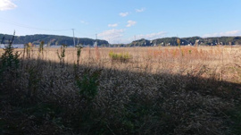 前谷地西横須賀20-2の画像