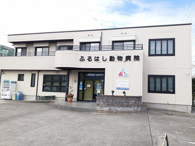 アマデトワールＹ・Ｓ【周辺】ふるはし動物病院まで608m