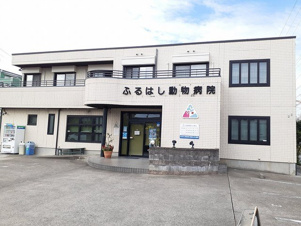 アマデトワールＹ・Ｓ【周辺】ふるはし動物病院まで608m