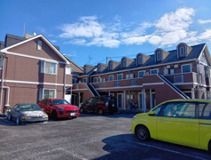 ブルーメアライ109の画像