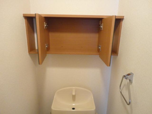 グランシャリオ大原Ⅱ【トイレ】収納