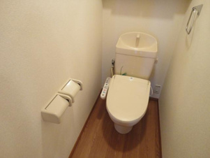 グランシャリオ大原Ⅱ【トイレ】シャワー付トイレ