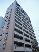 カレント富安 の画像