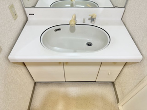 ダイアパレス甲府城東Ⅱ【独立洗面台】