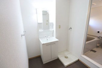 メゾングレース Ｄ・Ｅ【独立洗面台】洗髪洗面化粧台