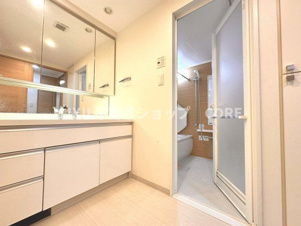 日神パレステージ小田急相模原フロント化粧品やティッシュボックス、歯ブラシなどもスッキリ収まりますよ！収納豊富な洗面化粧台になります。