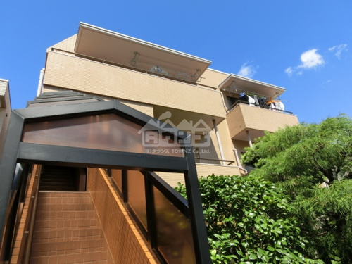 大好きなペットと過ごせるお部屋の画像