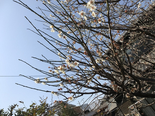 春日和♡女子会の画像