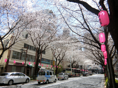 花粉症デビューの画像