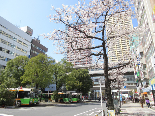 にっぽり春まつりの画像