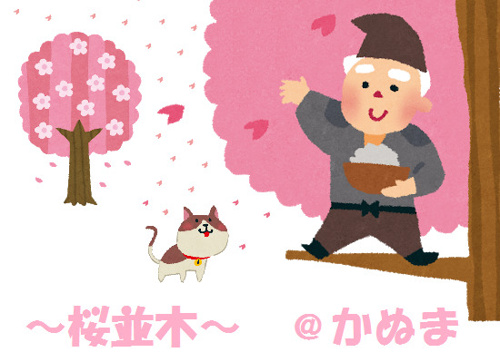 ご卒業おめでとうございます( ﾉД`)の画像