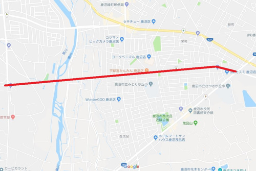 ついに満開(*^▽^*)の画像