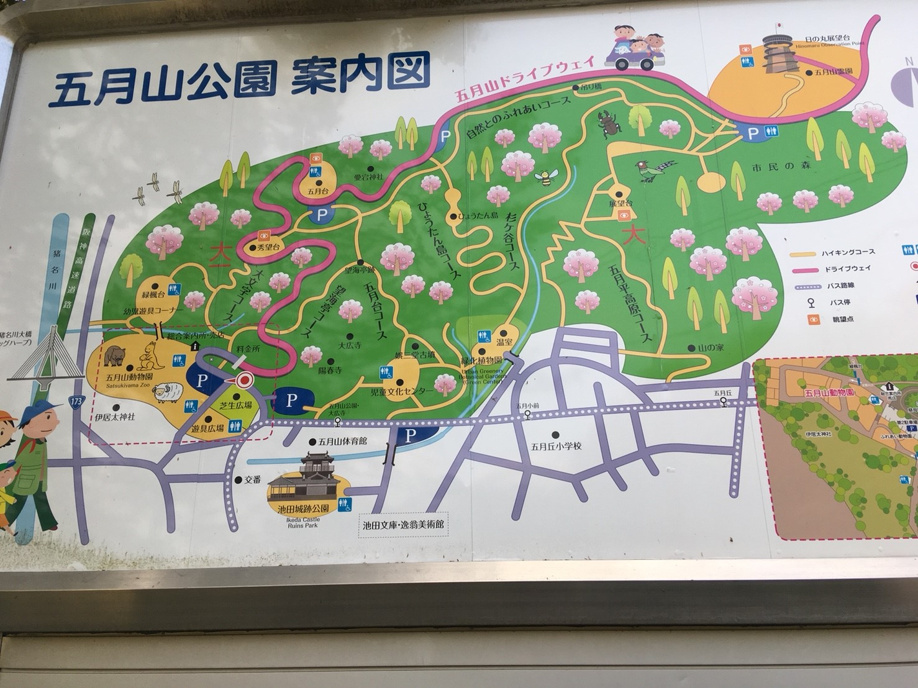 池田五月山動物園＆公園へ行ってきましたの画像