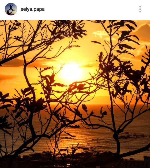『インスタ映え』流行語大賞（29.12.2）の画像