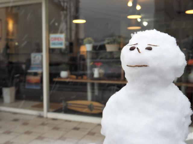 18才で見た初めての雪（30.1.23）の画像