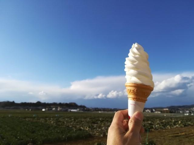 やっぱり立ち寄っちゃいます（30.2.10）の画像