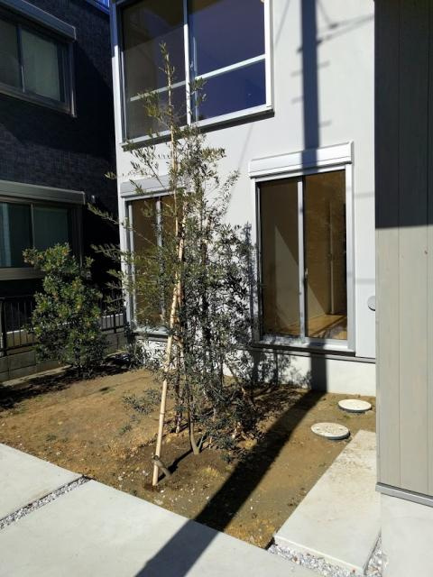 楽しい悩み（30.2．20）の画像