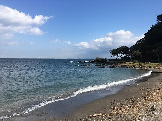 観音崎（29.11.21） の画像