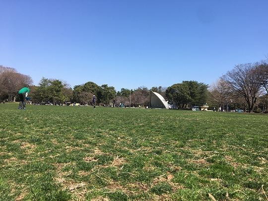 芝生で日向ぼっこ♪ （30.3.15） の画像