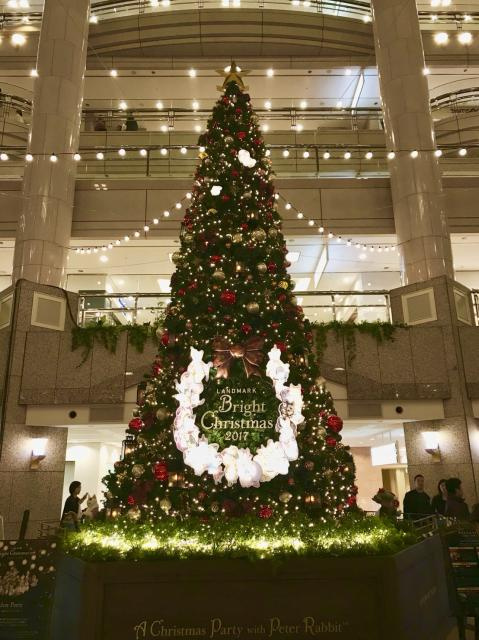 クリスマス（29.12.25)の画像