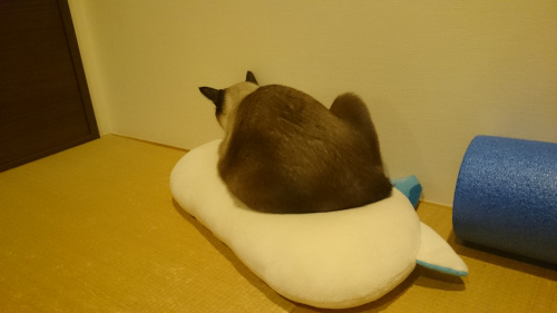 家は買わない方が良い？！の画像