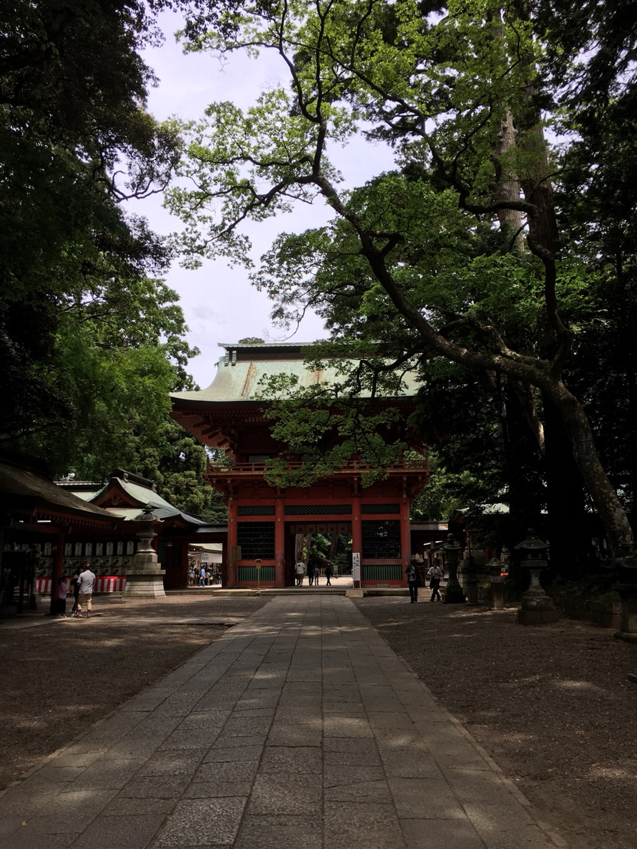 茨城へ！の画像