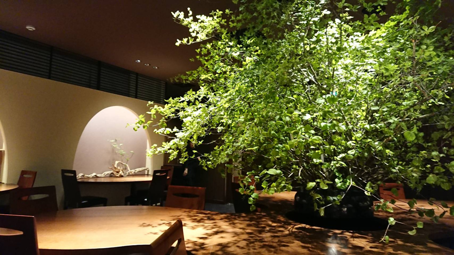 ＫＩＳＳＨＯ吉祥寺でランチ＾＾の画像