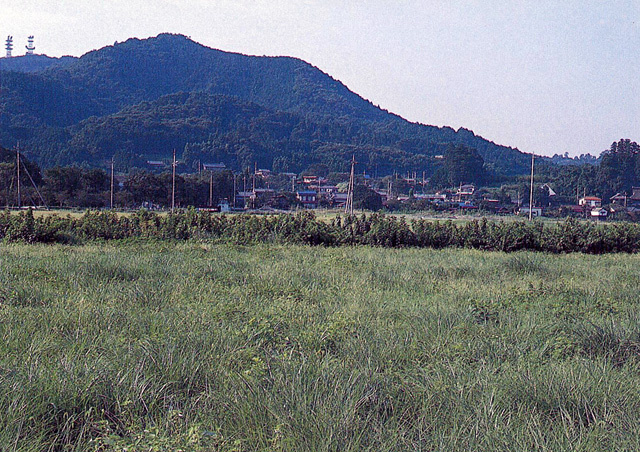 アクセスに便利！日高市の住みやすさについて解説しますの画像