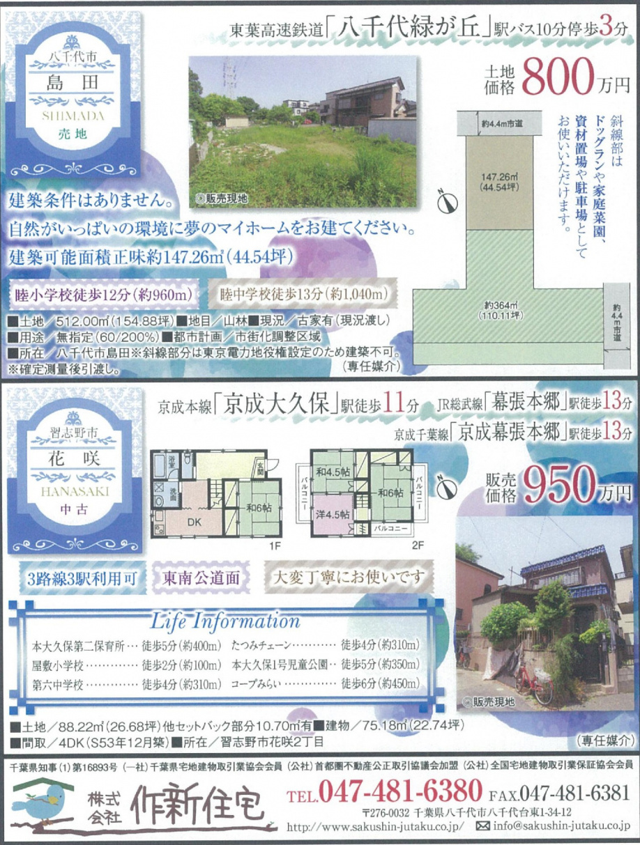 最新広告の画像