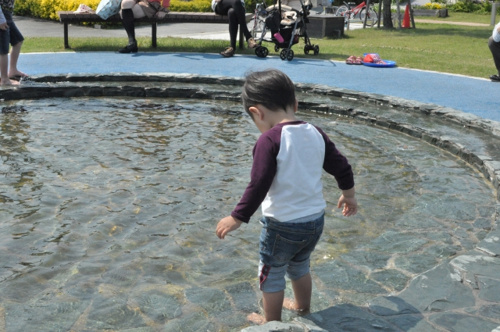 夏に行きたい！家族で楽しめる厚木市の公園3選！ の画像