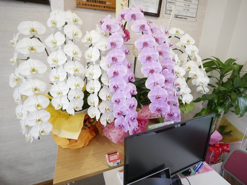 事務所が華やかに…★の画像