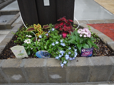 ★花壇★の画像