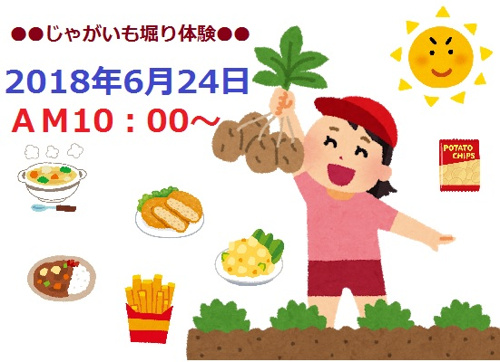 ●●じゃがいも祭り　開催●●の画像