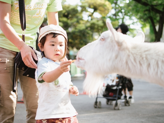 さいたま市大宮区にある 子どもが喜ぶ公園3選 町田 日暮里 横浜 本八幡 藤沢の賃貸情報はスマイスター