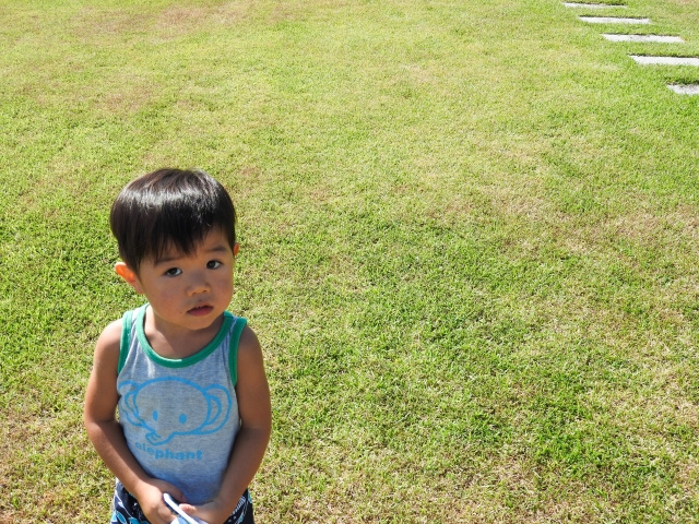 さいたま市大宮区にある 子どもが喜ぶ公園3選 町田 日暮里 横浜 本八幡 藤沢の賃貸情報はスマイスター