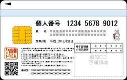 マインバーカードについて・・・の画像