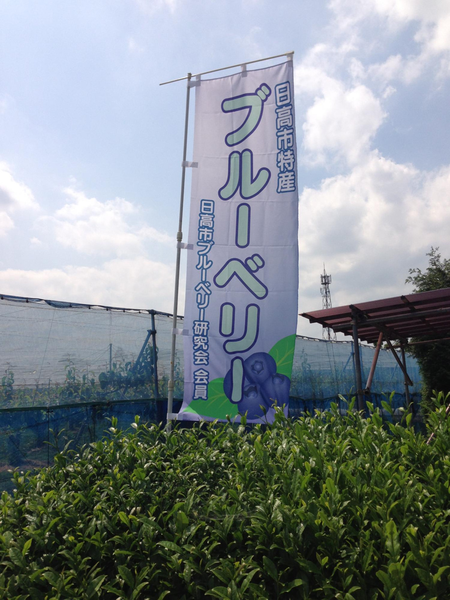 土地・一戸建てを買うなら日高市高萩区！住みやすさについてご紹介の画像