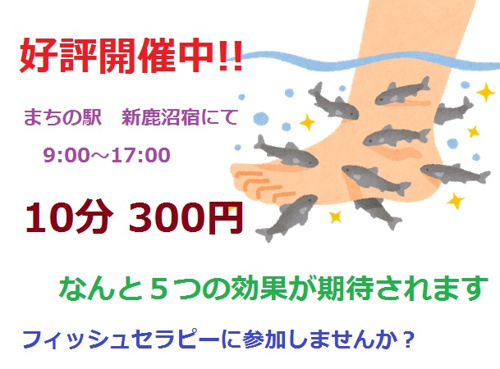 フィッシュセラピー好評開催中♪の画像