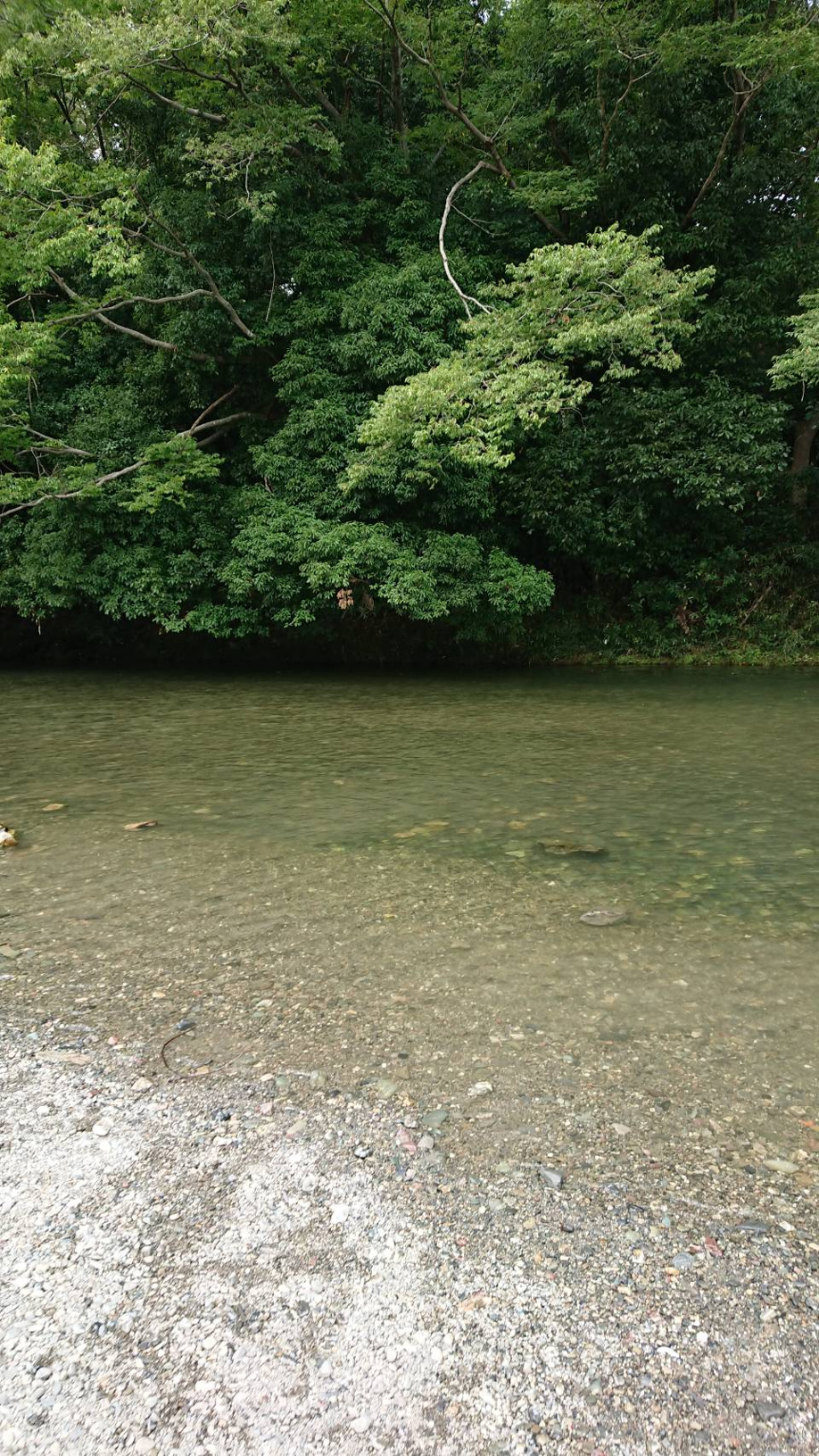 夏休み、嵐山渓谷でかんたんBBQと川遊びの画像