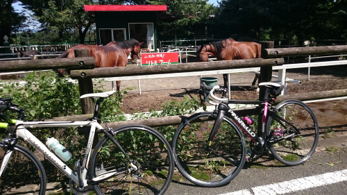 自転車の旅の画像