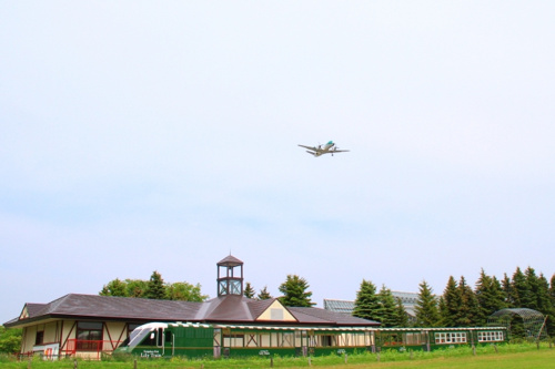 頭上から飛行機が飛ぶ！武蔵野の森公園の画像