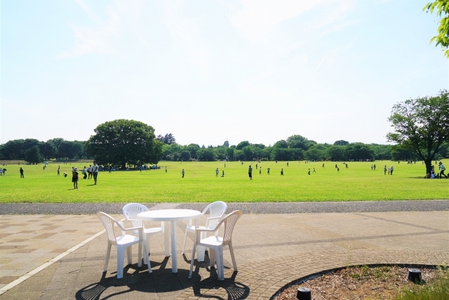 リラックス派もアクティブ派も楽しめる！立川市の国営昭和記念公園の画像
