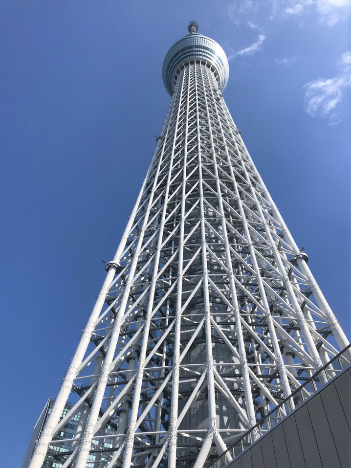 スカイツリーの画像