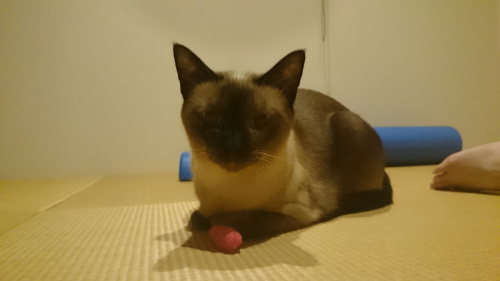 気色の悪い笑顔は必要か？の画像