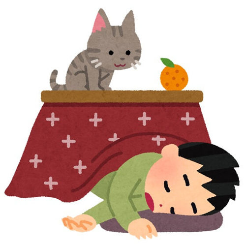 こたつの時期ですの画像
