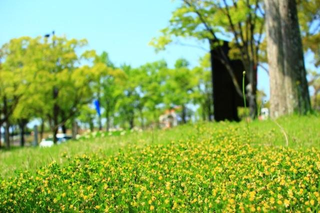 親子で楽しく遊べる狭山市のワイワイ広場！の画像