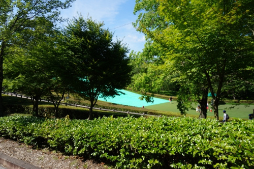 海老名市でおすすめの相模三川公園の魅力とは？の画像