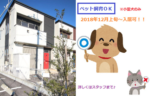 来月上旬より入居可能物件(*‘∀‘)の画像