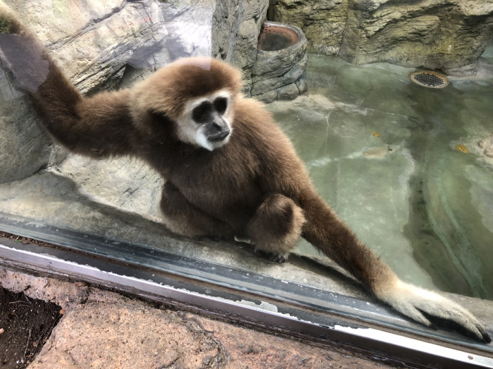 金沢動物園の画像