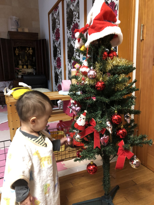 クリスマスツリー　『Mｙ　賃貸　西川』の画像